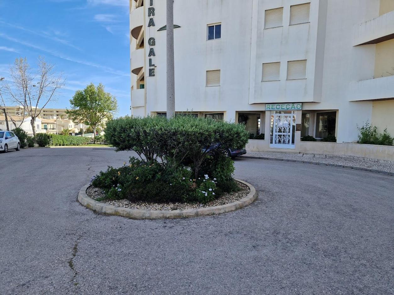 Apartamento T2 Palmeira Gale-Praia Da Gale Гия Экстерьер фото